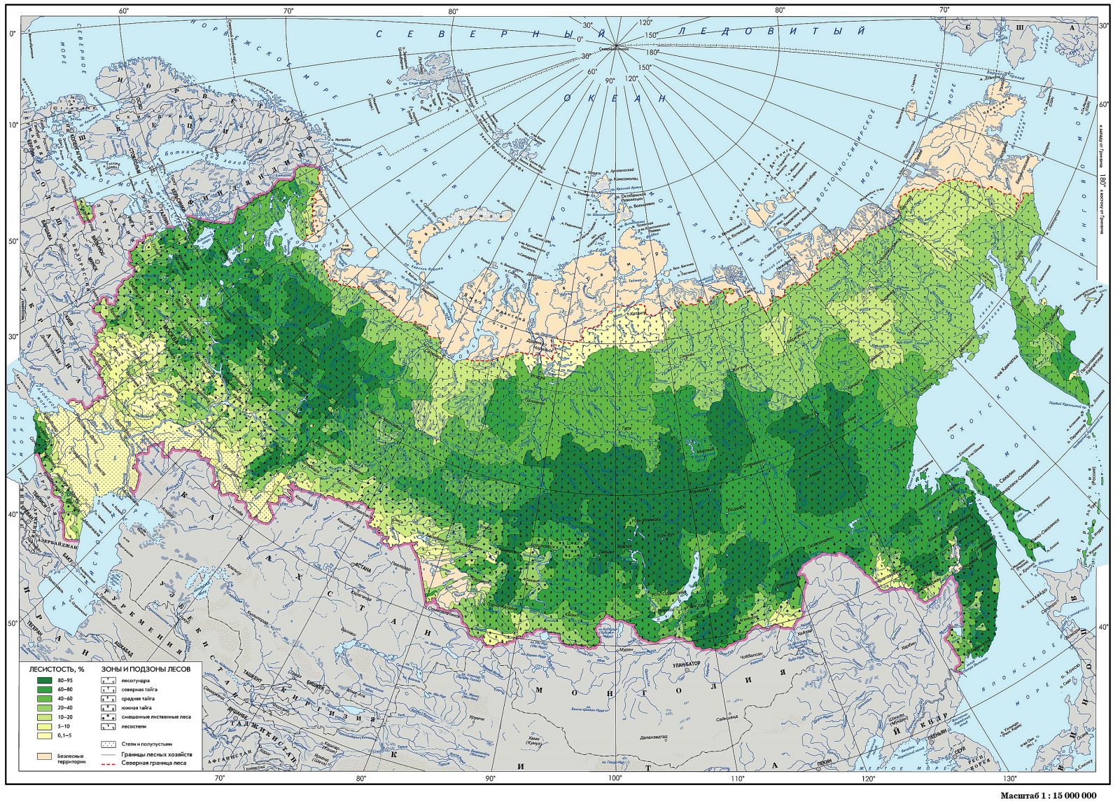 Реферат На Тему Лесные Ресурсы России
